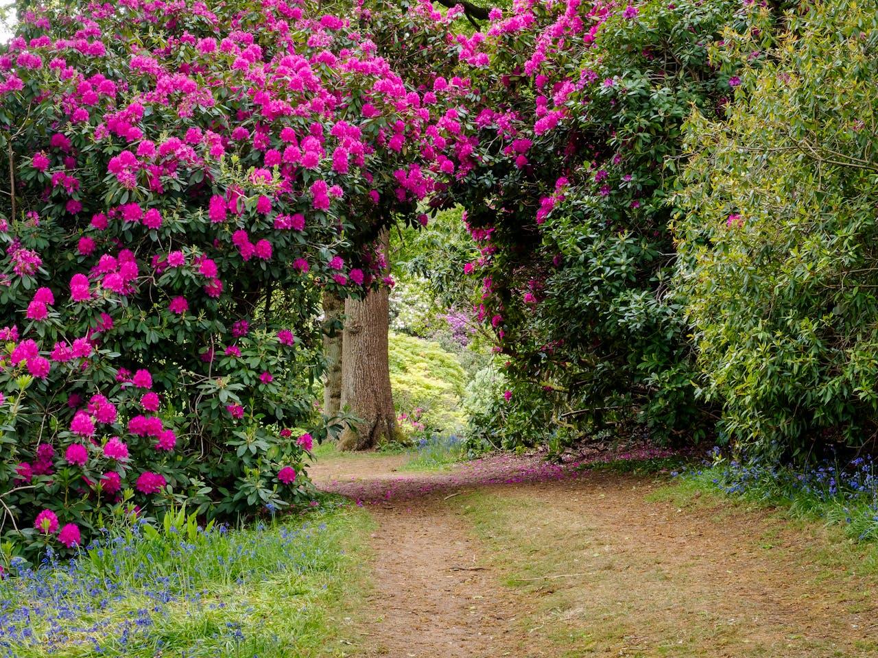 ilustrační obrázek