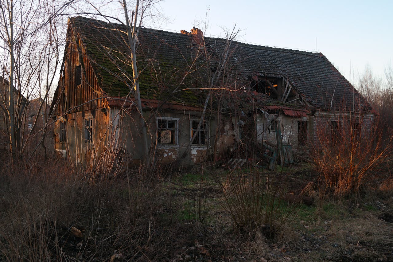 ilustrační obrázek