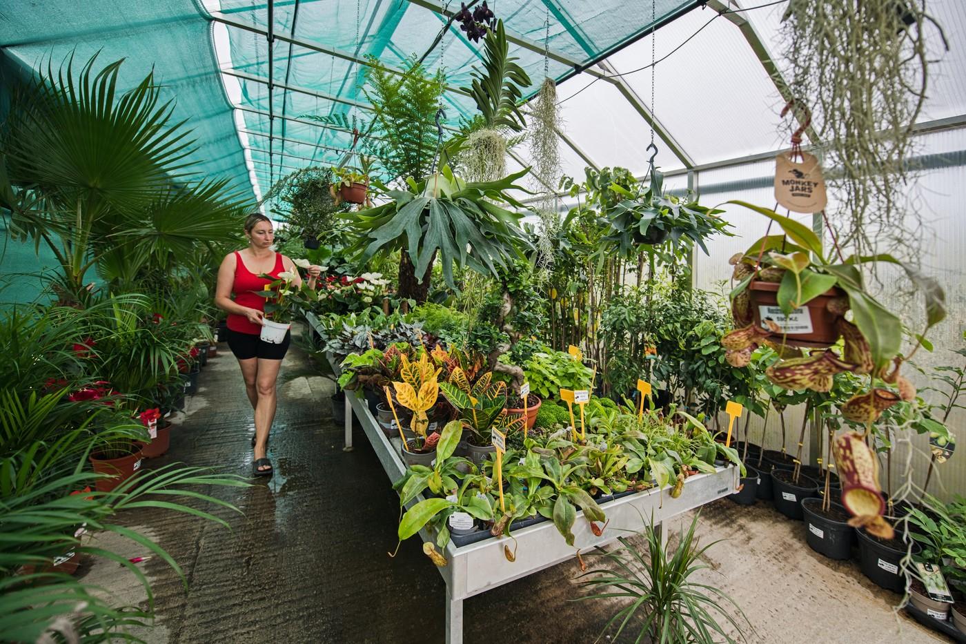 Exotická zahrada Přibice se otevřela návštěvníkům při akci víkend otevřených zahrad, 7. června 2025, Přibice na Brněnsku.