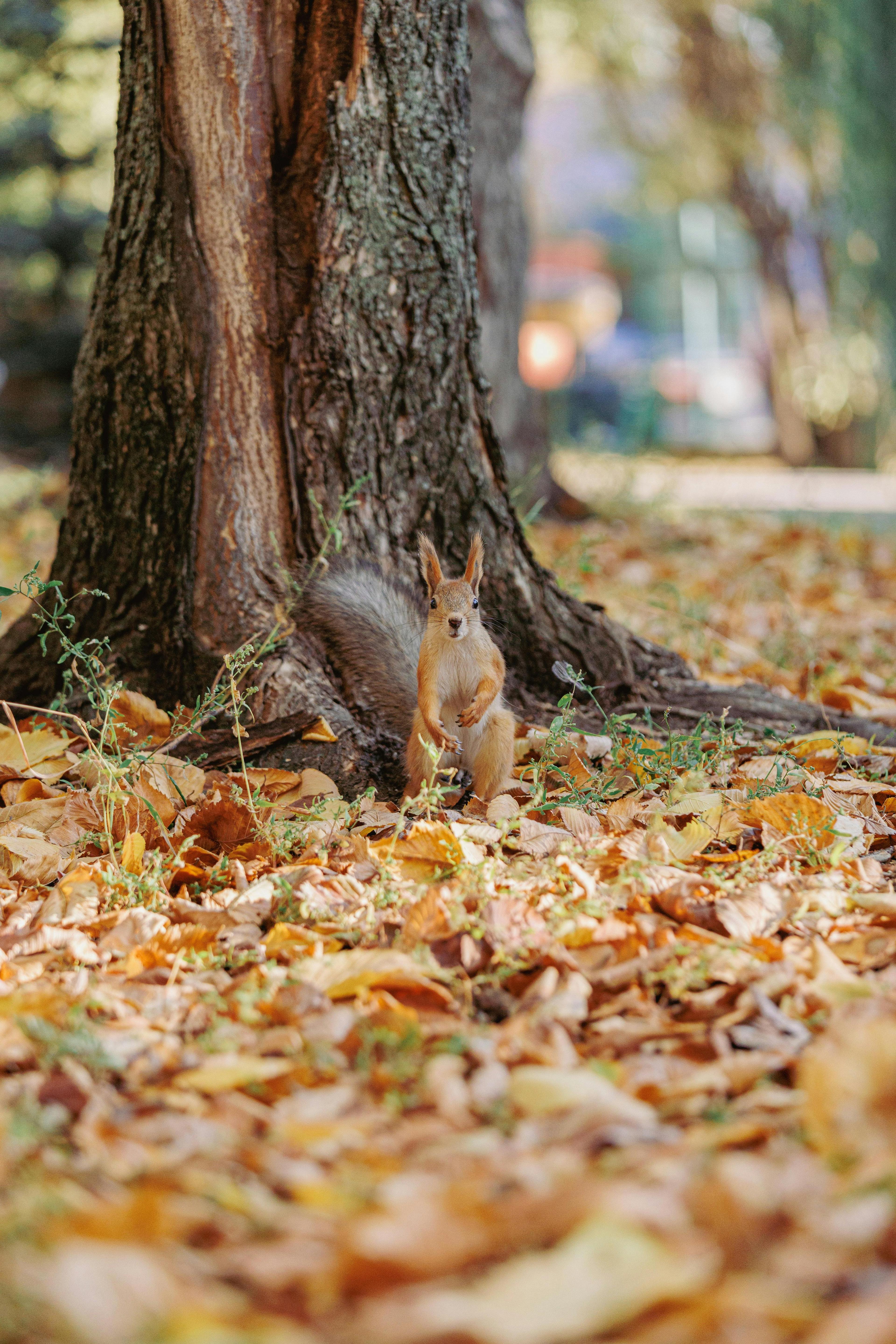 ilustrační foto ilustrační foto