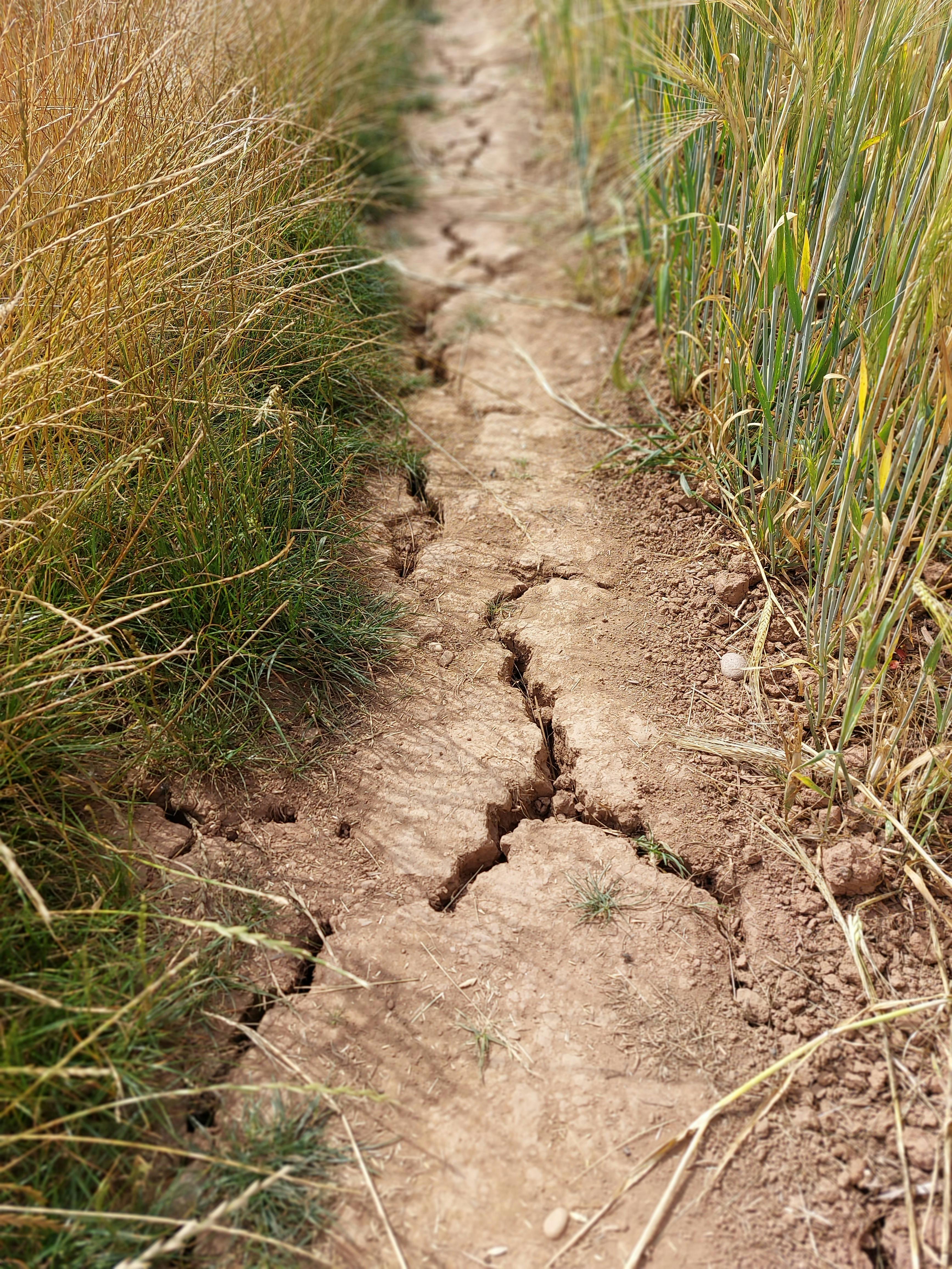 ilustrační fotografie