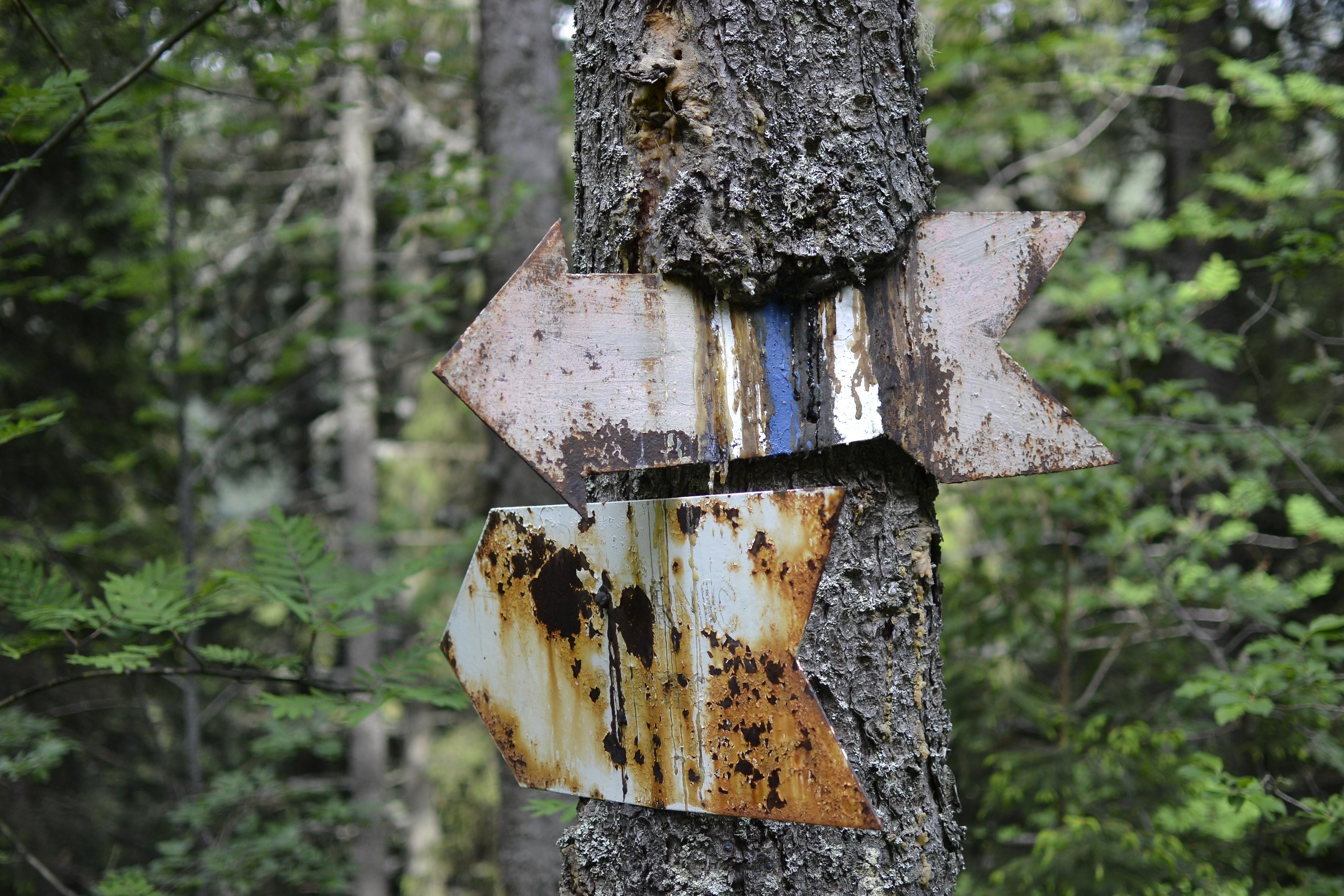 velmi ilustrační foto