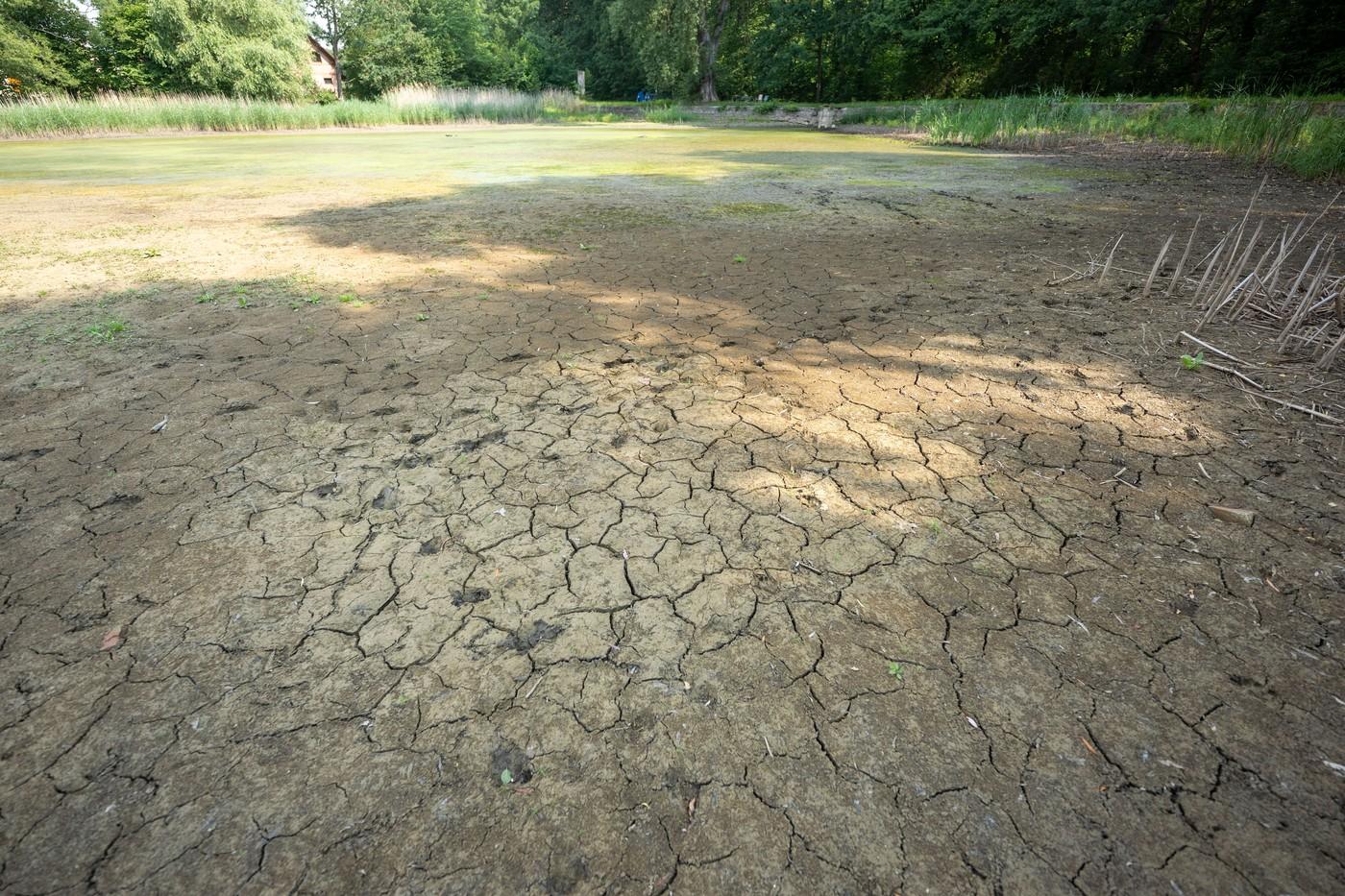 Březinský rybník u chatové oblasti. Menší rybníky na Pardubicku dlouhodobě ohrožuje sucho a nedostatek vody.