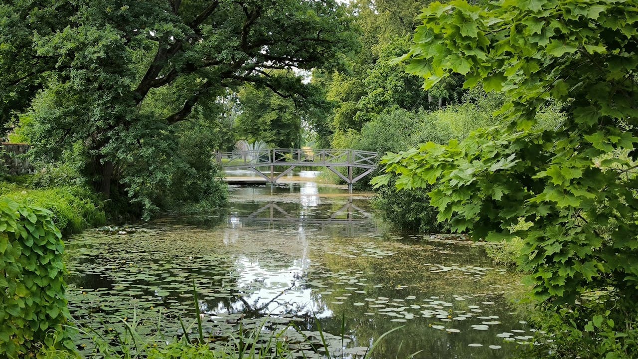 ilustrační obrázek