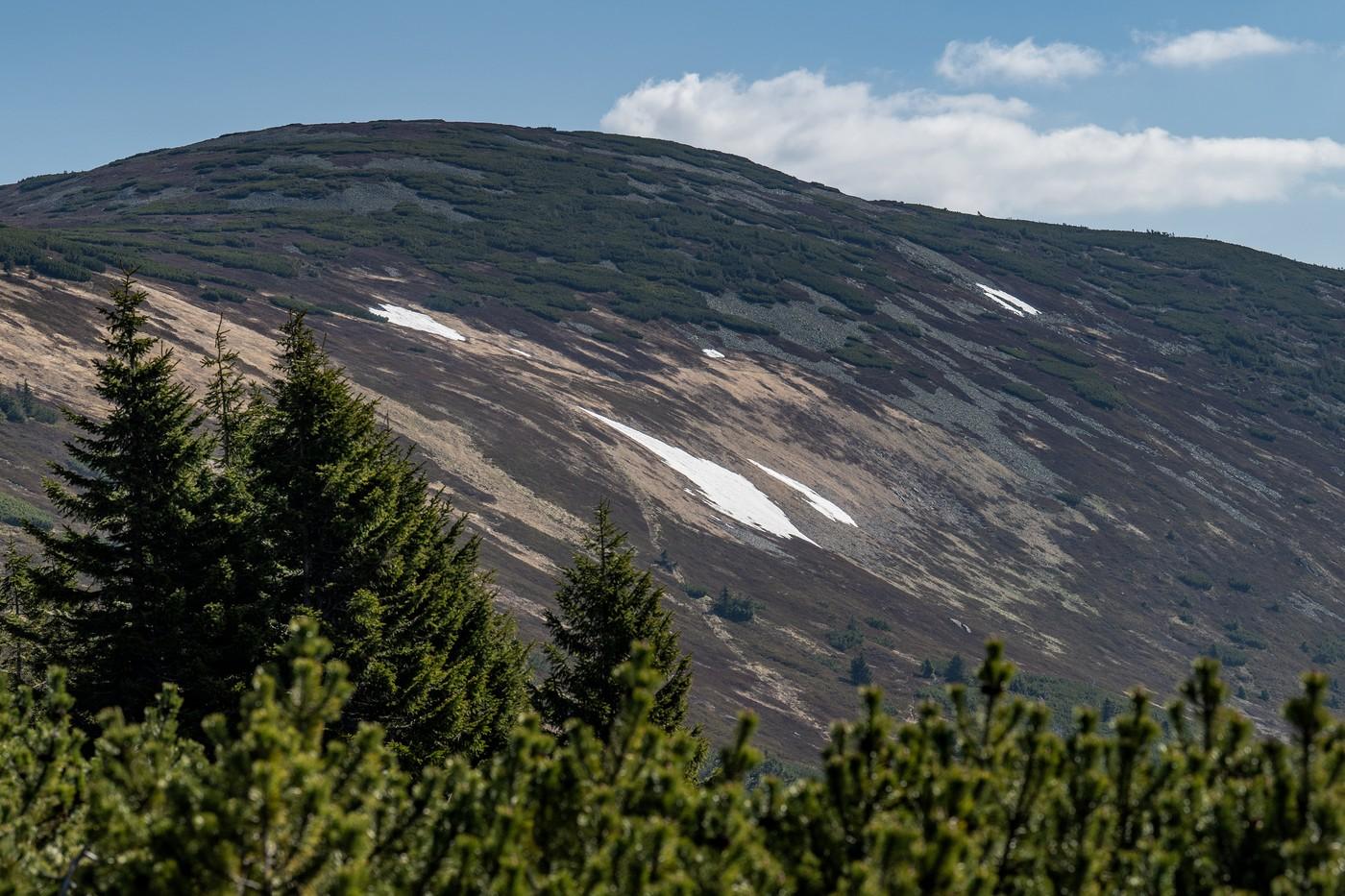 Sněhová Mapa republiky
