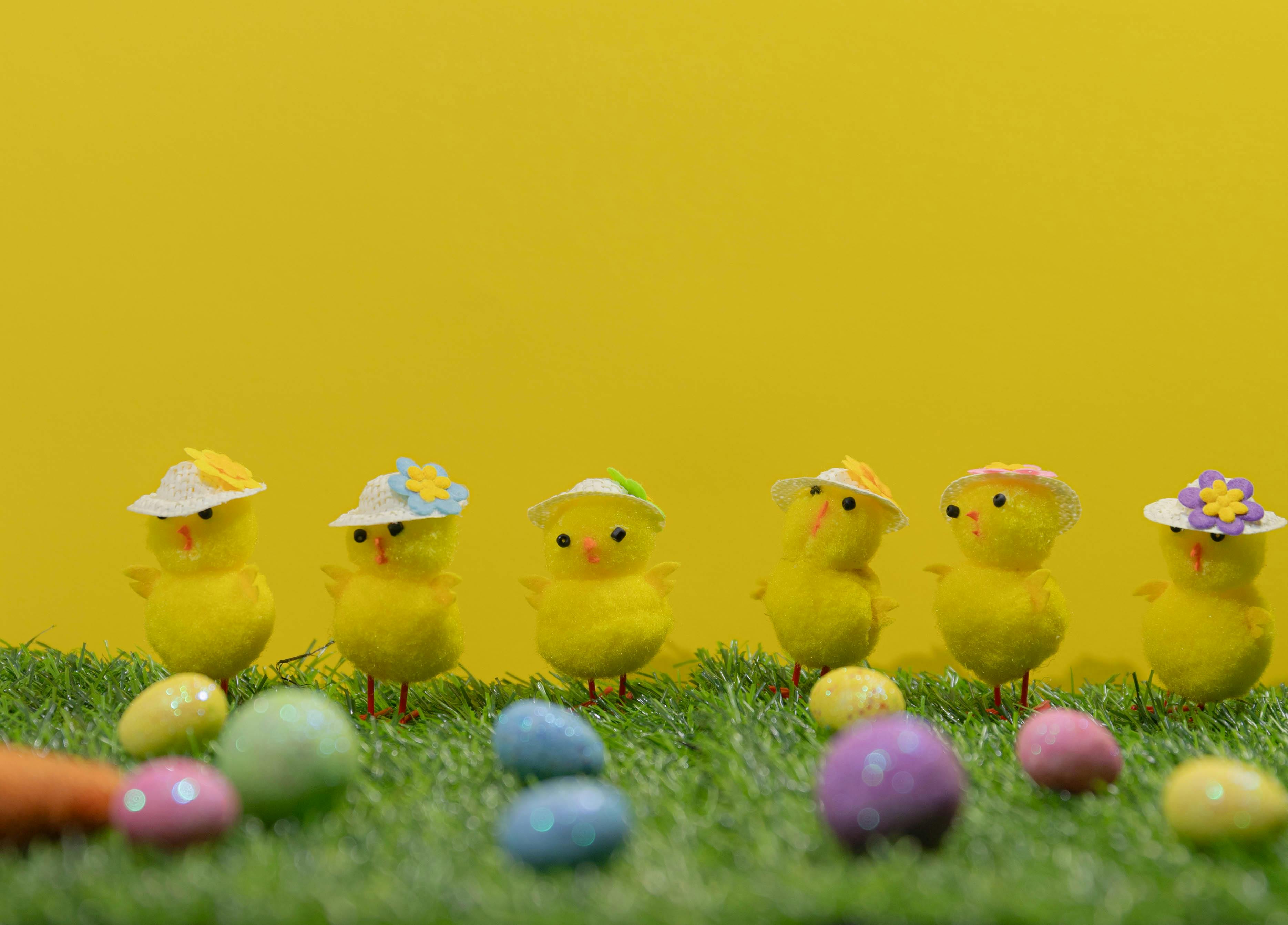 ilustrační foto ilustrační foto