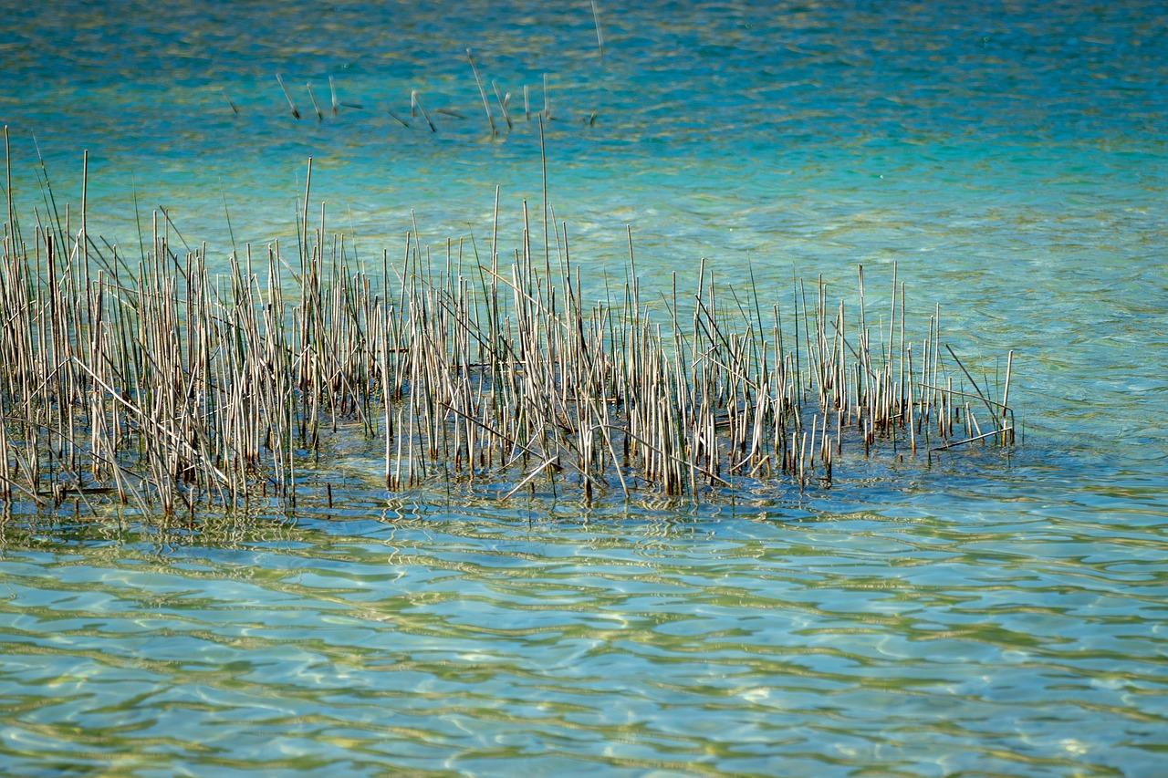 ilustrační obrázek