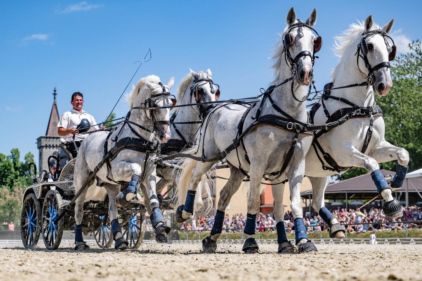 Velký jezdecký den při příležitosti 80 let chovu starokladrubského vraníka ve Slatiňanech, 28. června 2025, venkovní jízdárna (kolbiště) Na Rembáni, Hřebčín Slatiňany, Chrudimsko.