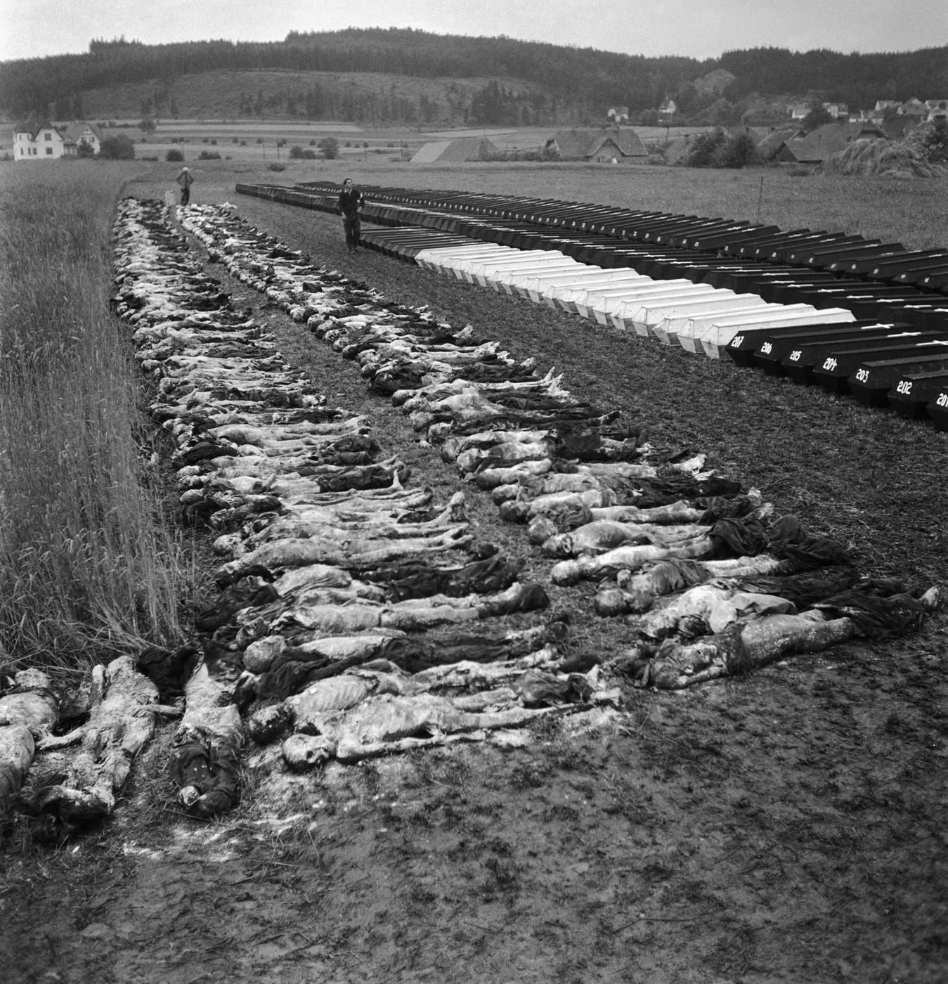 Úřední komise, vyšetřující hladový pochod smrti z koncentračního tábora v Johanngeorgenstadtu a provádějící exhumace obětí, odkryla 3. července poslední hromadný hrob transportu za hřbitovní zdí v Žihli na Podbořansku. Tento otevřený hrob byl největší, jejž nacisté svým vězňům na cestě smrti připravili. Obsahoval 259 osob téměř všech evropských národností.