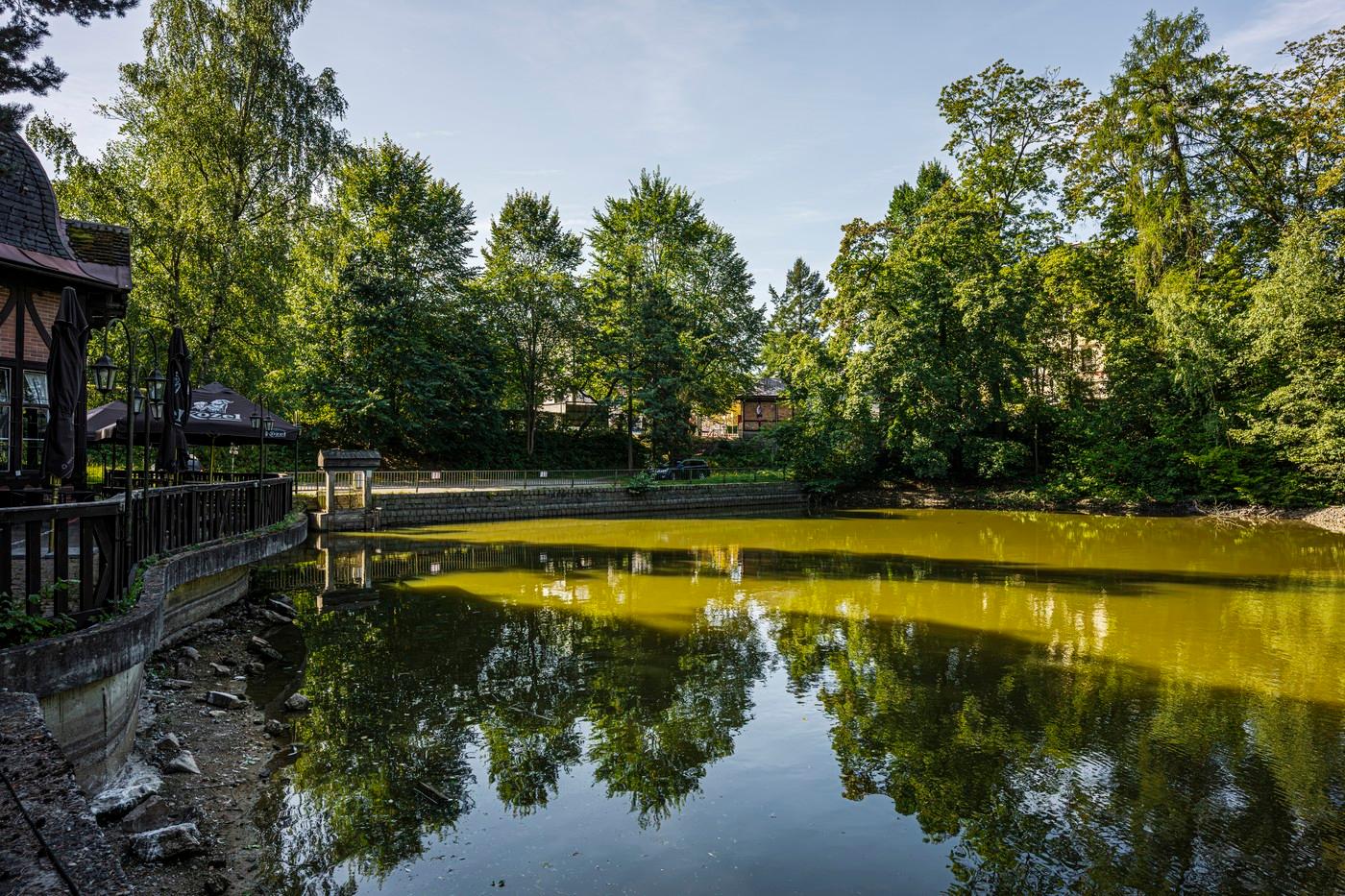 Zoo připravuje revitalizaci této vodní plochy, na což bude odhadem potřeba 15 milionů korun