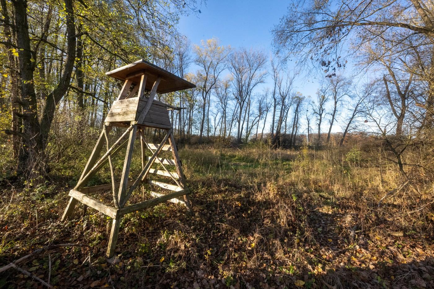Město Pardubice plánuje obnovu rybníčku, aby se tam mohli vrátit obojživelníci. Podle odborníků se tam vyskytovaly všechny obojživelné druhy, které na Pardubicku žijí, což je hodně neobvyklé.