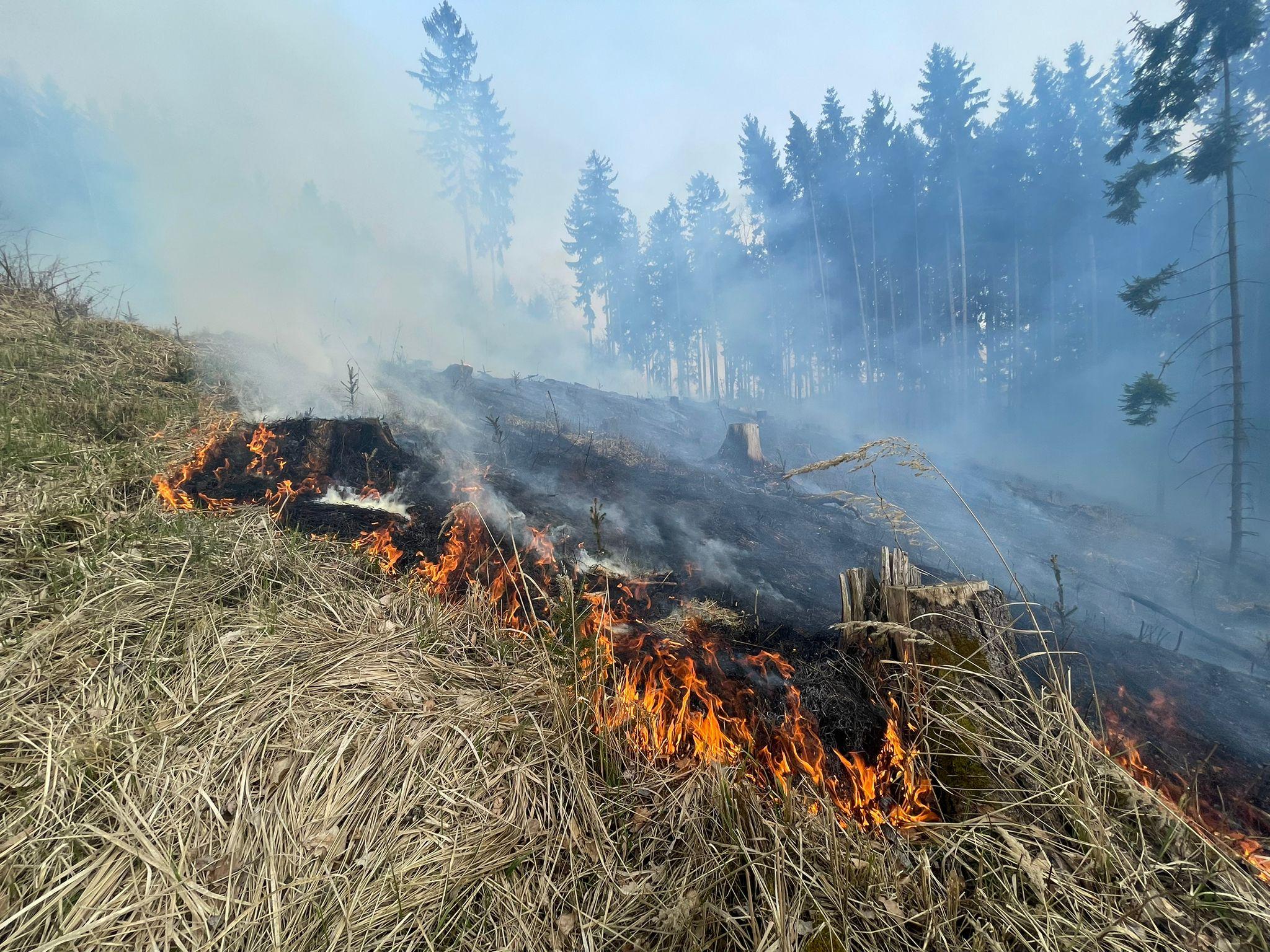 Hasiči u Trutnova zasahují u požáru lesa. Zásah komplikuje silný vítr. Na místě je osm jednotek, byl vyhlášen druhý ze čtyř stupňů požárního poplachu. Hasiči u Trutnova zasahují u požáru lesa. Zásah komplikuje silný vítr. Na místě je osm jednotek, byl vyhlášen druhý ze čtyř stupňů požárního poplachu.