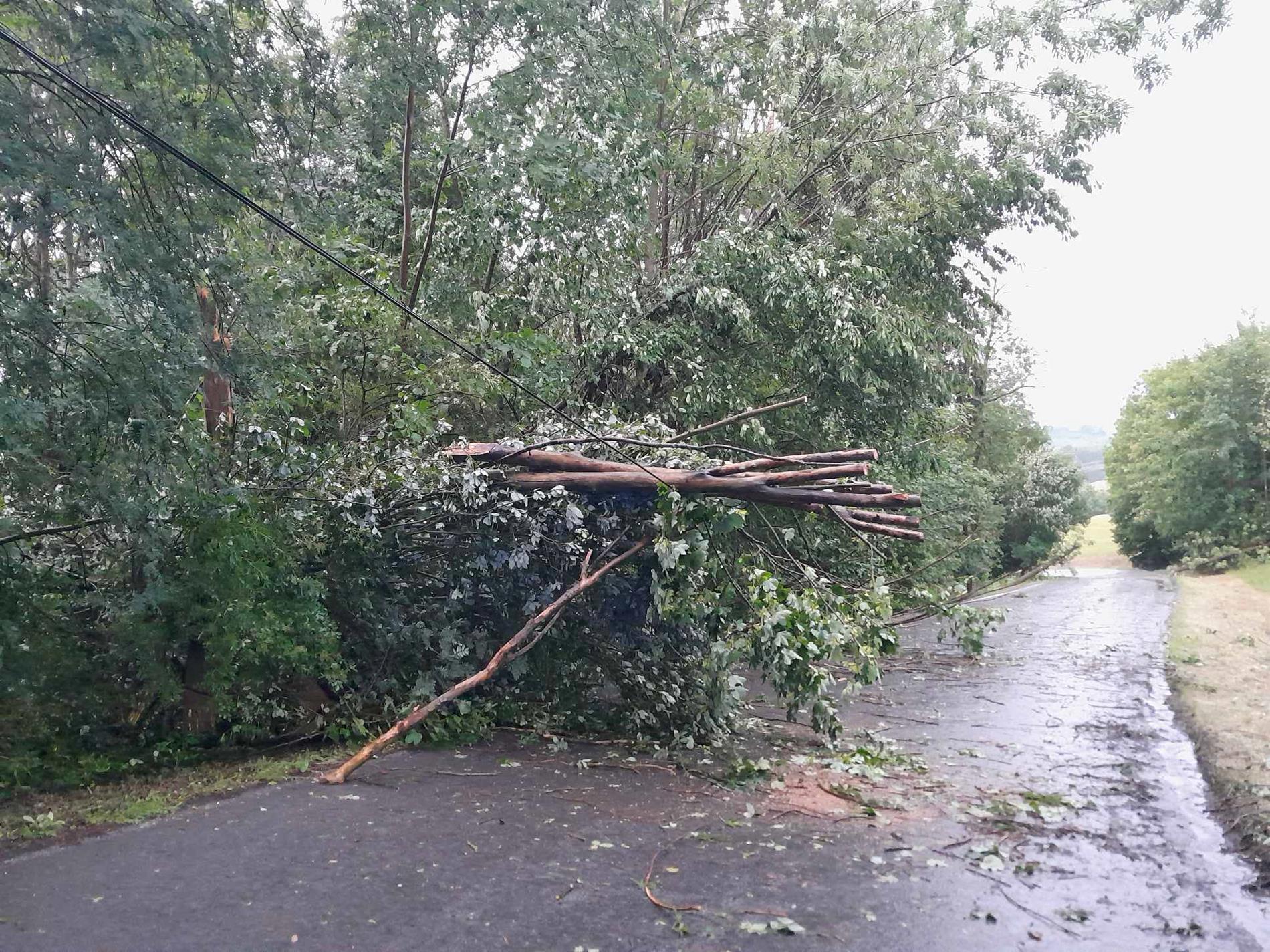 Hasiči vyjížděli ve středních Čechách k desítkám zásahů v souvislosti s bouřkami, nejčastěji čerpali vodu a odstraňovali spadlé stromy a větve.