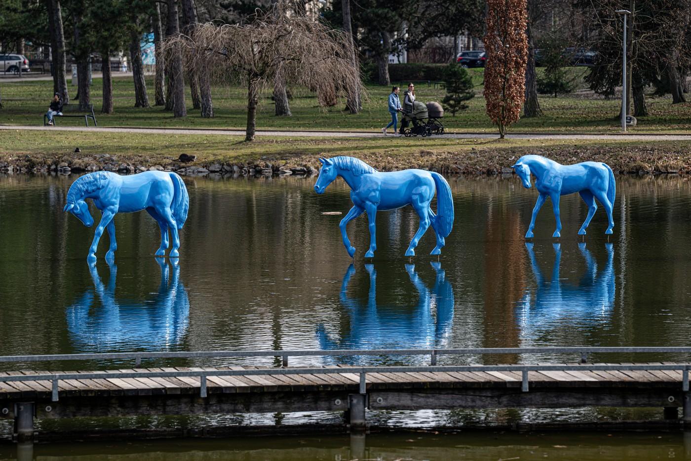 Sousoší Tři modří koně od sochaře Michala Gabriela na hladině jezírka v Šimkových sadech.