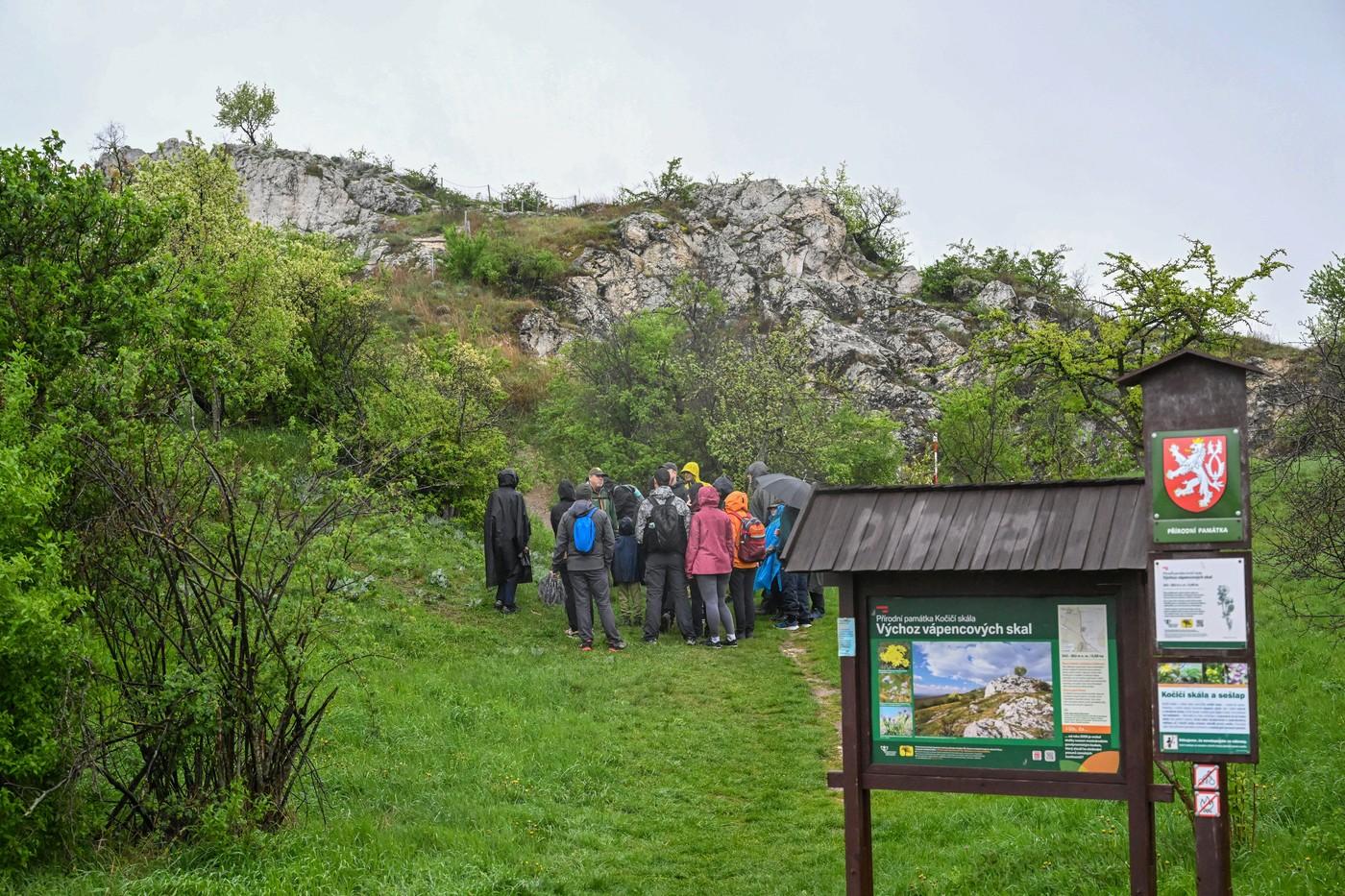 Botanická exkurze v CHKO Pálava na Kočičím kameni a Kočičí skále, 18. dubna 2025, Mikulov, Břeclavsko. Botanická exkurze v CHKO Pálava na Kočičím kameni a Kočičí skále, 18. dubna 2025, Mikulov, Břeclavsko.