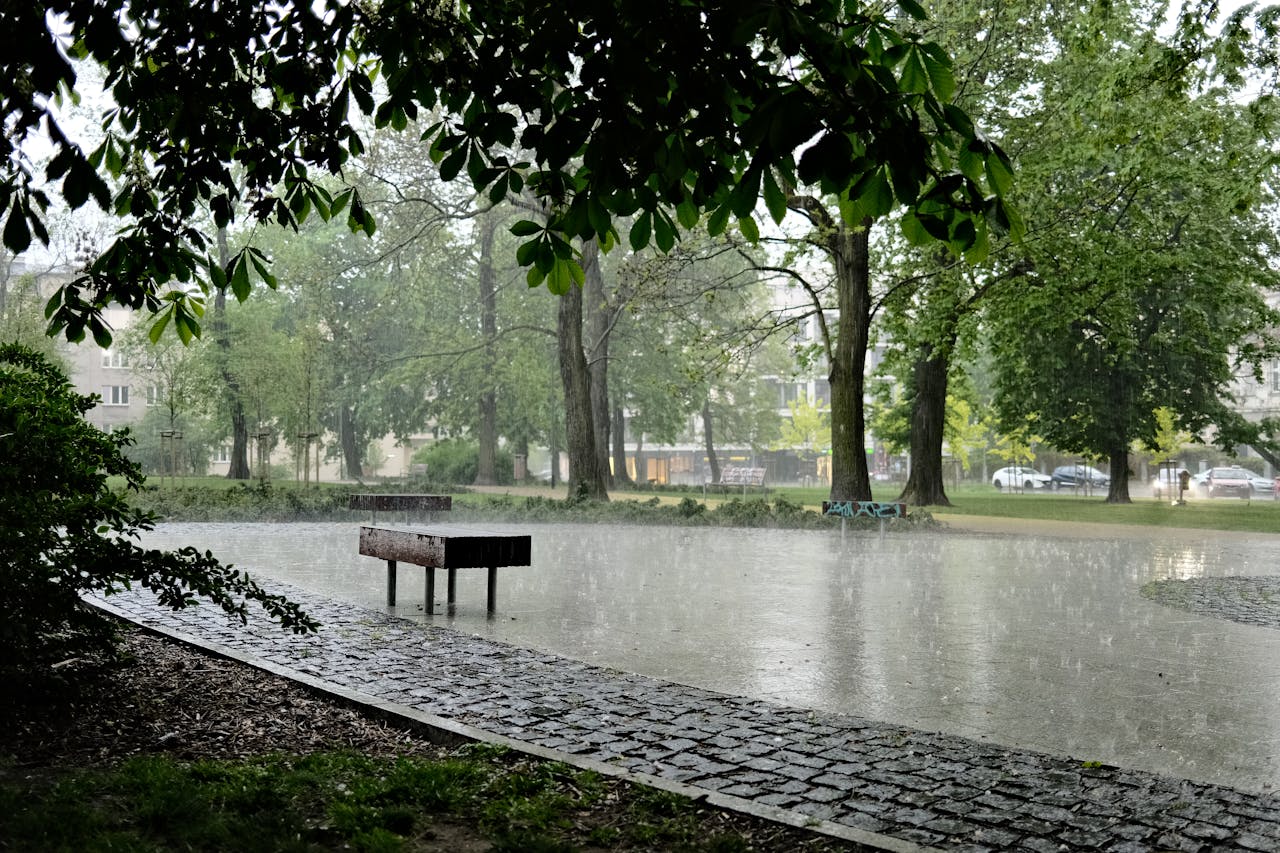 ilustrační obrázek ilustrační obrázek