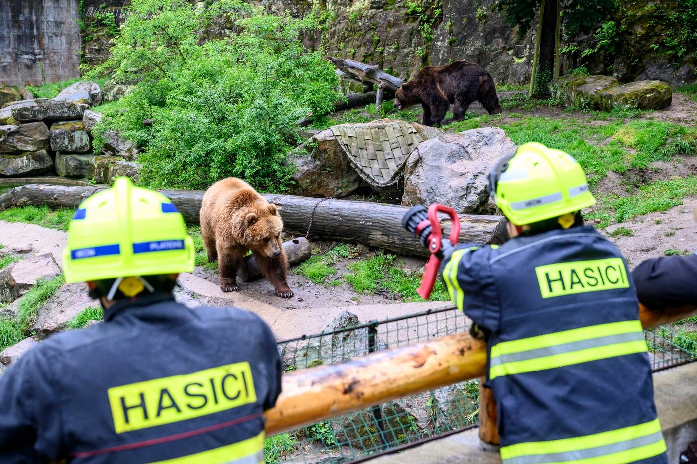 Hasiči museli vodu použít, aby Bruno vůbec mohl ven.