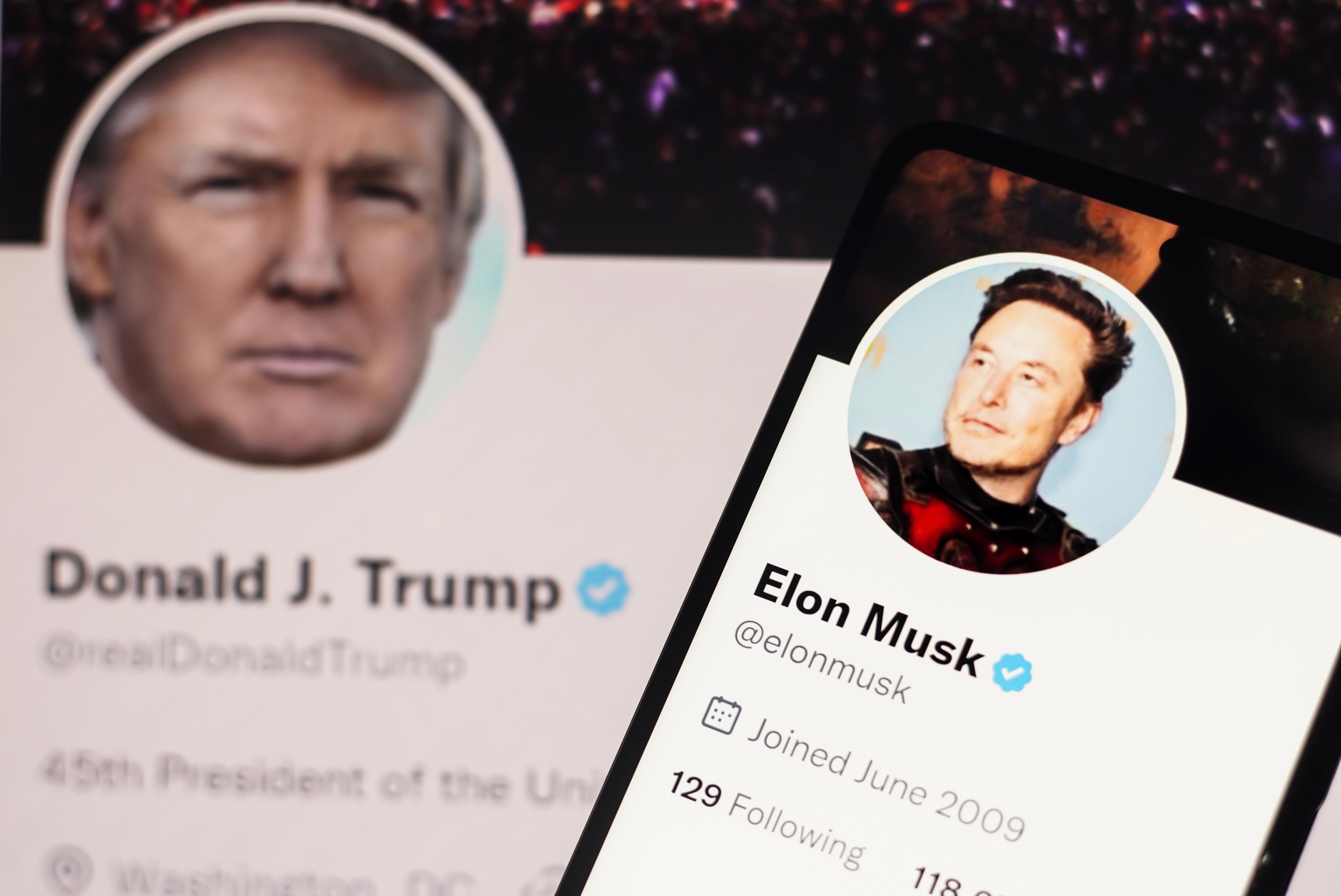 Donald Trum a Elon Musk, bývalí přátelé Donald Trum a Elon Musk, bývalí přátelé